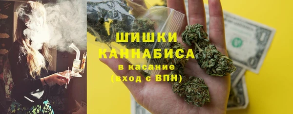 кокс Касимов