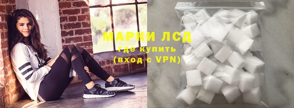 кокс Касимов