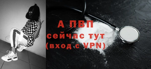 кокс Касимов