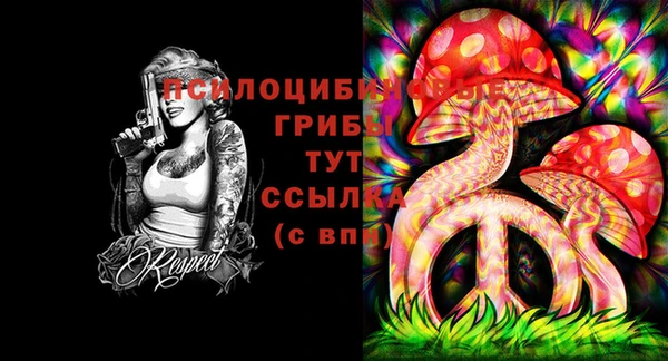 мдма Карпинск