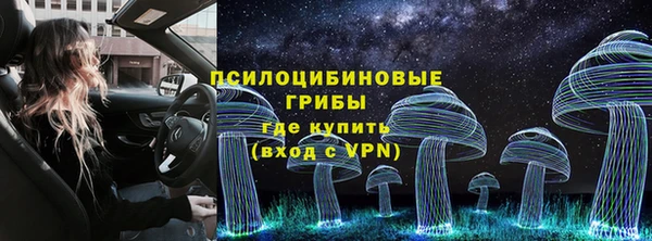 кокс Касимов