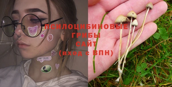 дурь Киреевск