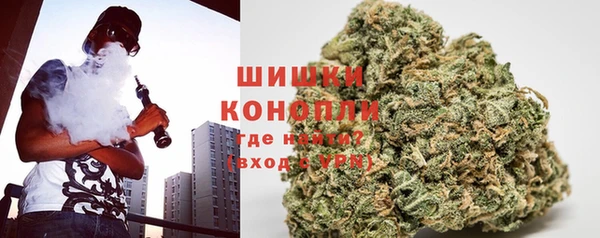 кокс Касимов