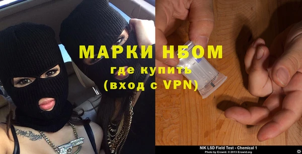 кокс Касимов