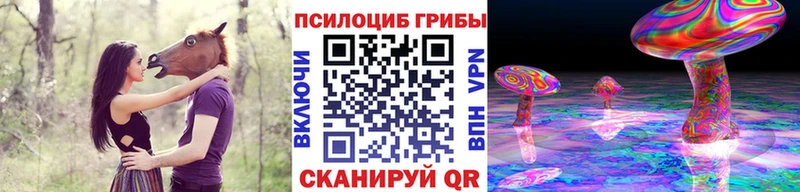 Купить  Вуктыл  Псилоцибиновые грибы Magic Shrooms 